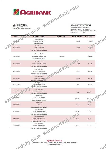 Vietnam Agribank bank statement template in Word and PDF format
